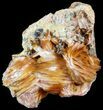 Cerussite Crystals with Orange Bladed Barite - Morocco #51403-1